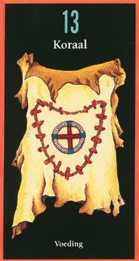 Afbeelding Rode koraal