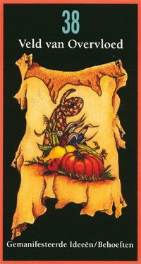 Afbeelding Veld van overvloed (gemanifesteerde ideeën/behoeften)