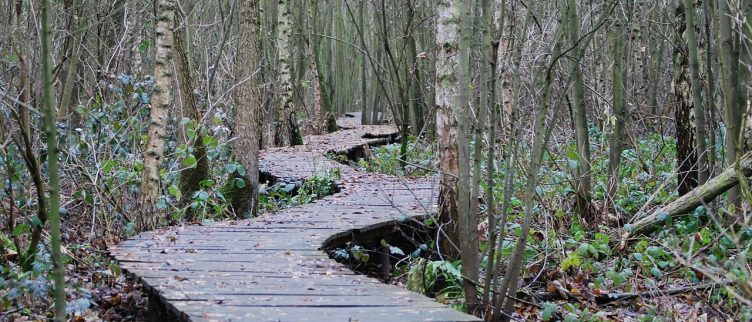 Spiritueel ontwaken: verbinding tussen lichaam, geest en ziel