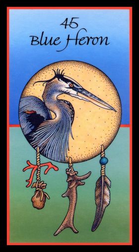 Afbeelding Blauwe reiger – Zelfbeschouwing