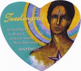 Afbeelding Tweelingziel
