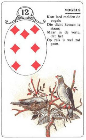 Afbeelding Vogels