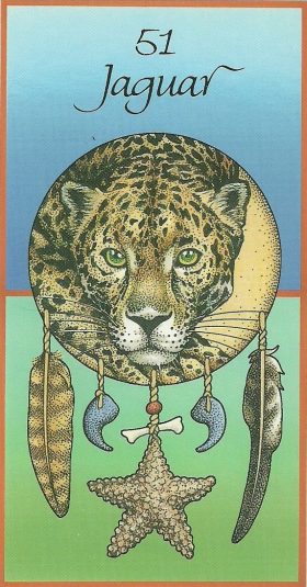 Afbeelding Jaguar – Integriteit