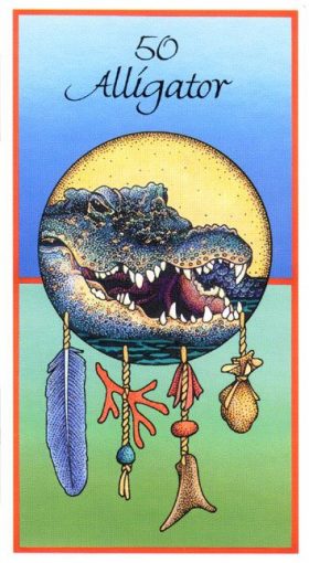 Afbeelding Alligator – Integratie