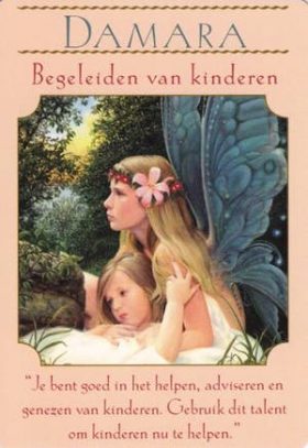 Afbeelding Damara – gids voor de kids