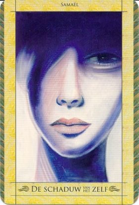Afbeelding De schaduw van het zelf