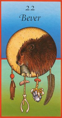 Afbeelding Bever – bouwer
