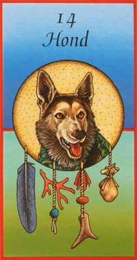Afbeelding Hond – Trouw