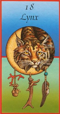 Afbeelding Lynx – Geheimen