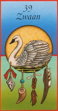 Afbeelding Zwaan – Gratie