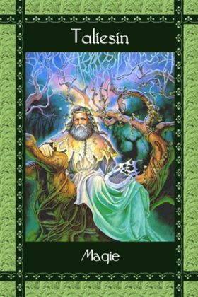 Afbeelding Taliesin, Magie