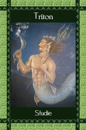 Afbeelding Triton, Studie