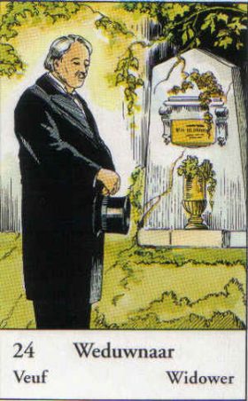 Afbeelding De weduwnaar