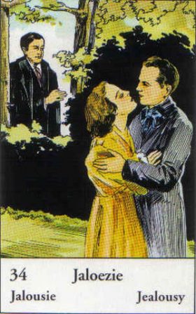 Afbeelding De jaloezie